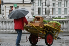 Tromostovje