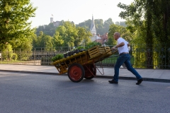 Trnovski pristan